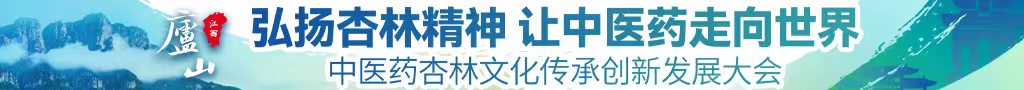 粉嫩浪逼视频中医药杏林文化传承创新发展大会